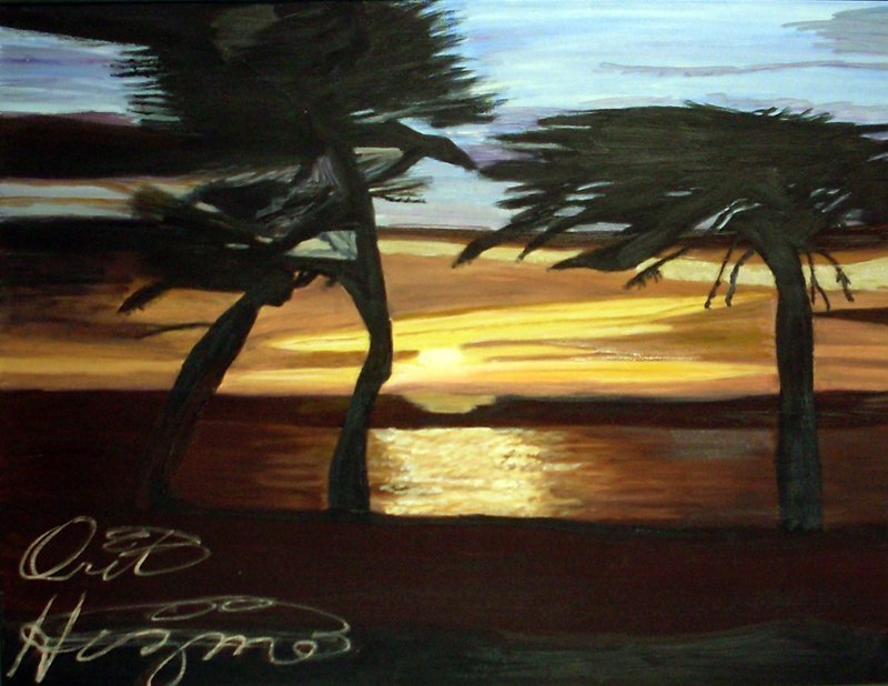 tropical-windstorm